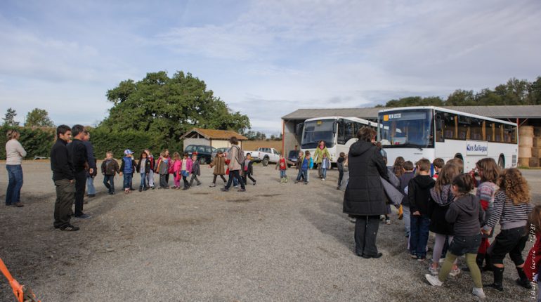 Un bus arrive, un autre s'en va.